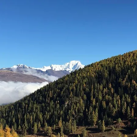 Apartment Stunning Chalet Nr Plagne 1800-view Of Mont Blanc *